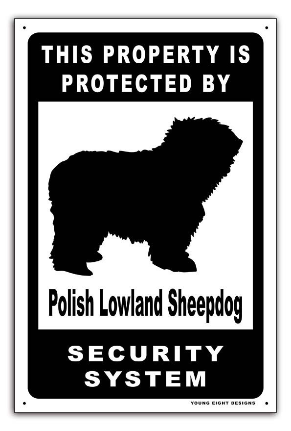 雑貨【Polish Lowland Sheepdog Dog/ポリッシュ・ローランド・シープドッグ】犬/セキュリティサイン/メタルプレート/ブリキ看板/Tin-170_画像1