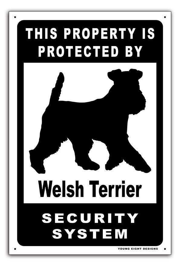 雑貨【Welsh Terrier Dog/ウェルシュ・テリア】Dog/ドッグ/犬/セキュリティサイン/メタルプレート/ブリキ看板/Tin Sign-210_画像1