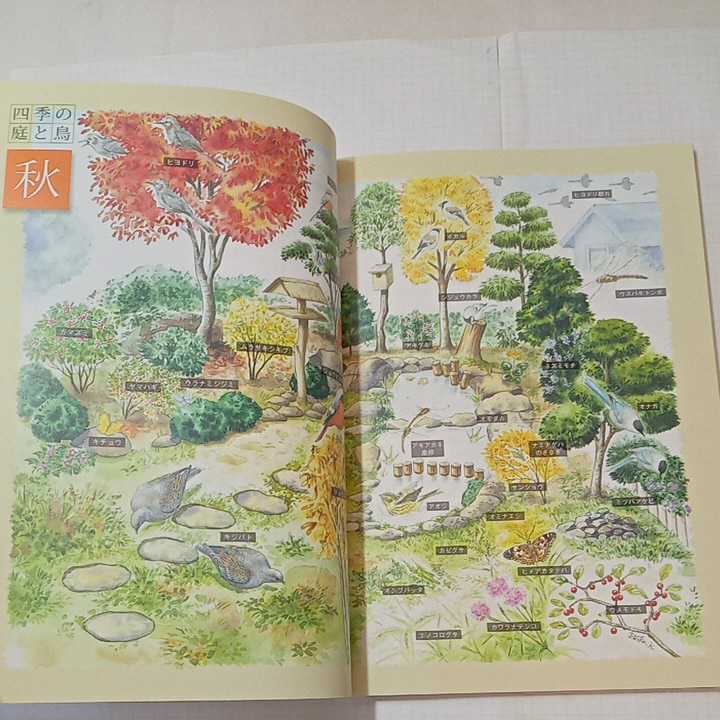 zaa-350! new garden . bird ...book@(BIRDER SPECIAL) separate volume 2009/11/30 wistaria book@ peace .( work )