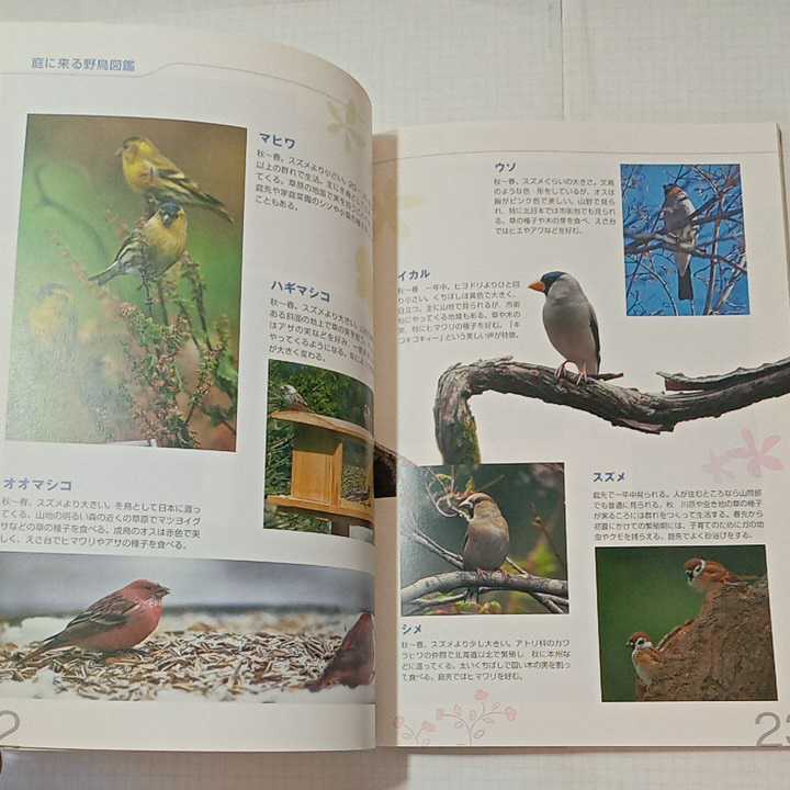 zaa-350! new garden . bird ...book@(BIRDER SPECIAL) separate volume 2009/11/30 wistaria book@ peace .( work )