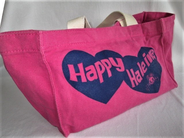 ★中古品 Happy Haleiwa ハッピーハレイワ ミニキャンバストートバッグ ハッピーちゃん 約横24cm縦15cm底11cm ランチバック お弁当入れ★ _画像3