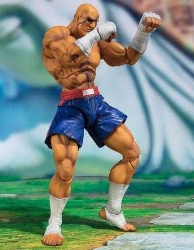 国内外の人気が集結 フィギュアーツ S.H.Figuarts スト2 ストリート