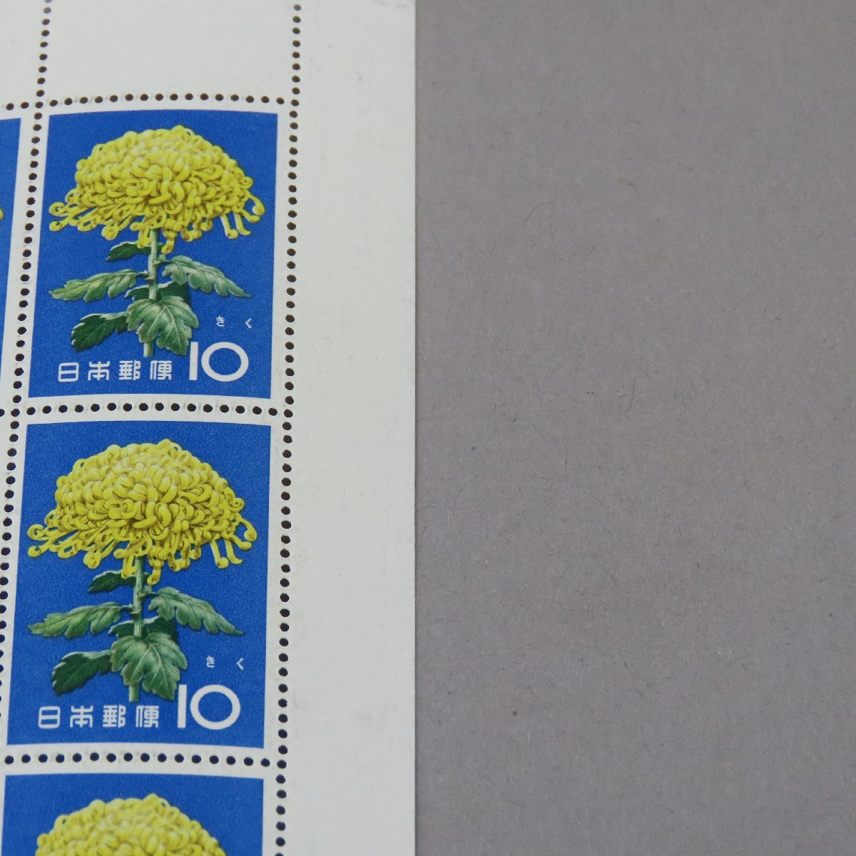 【切手0154】1961年　昭36年 花シリーズ きく 日本郵便 10円20面シート_画像6