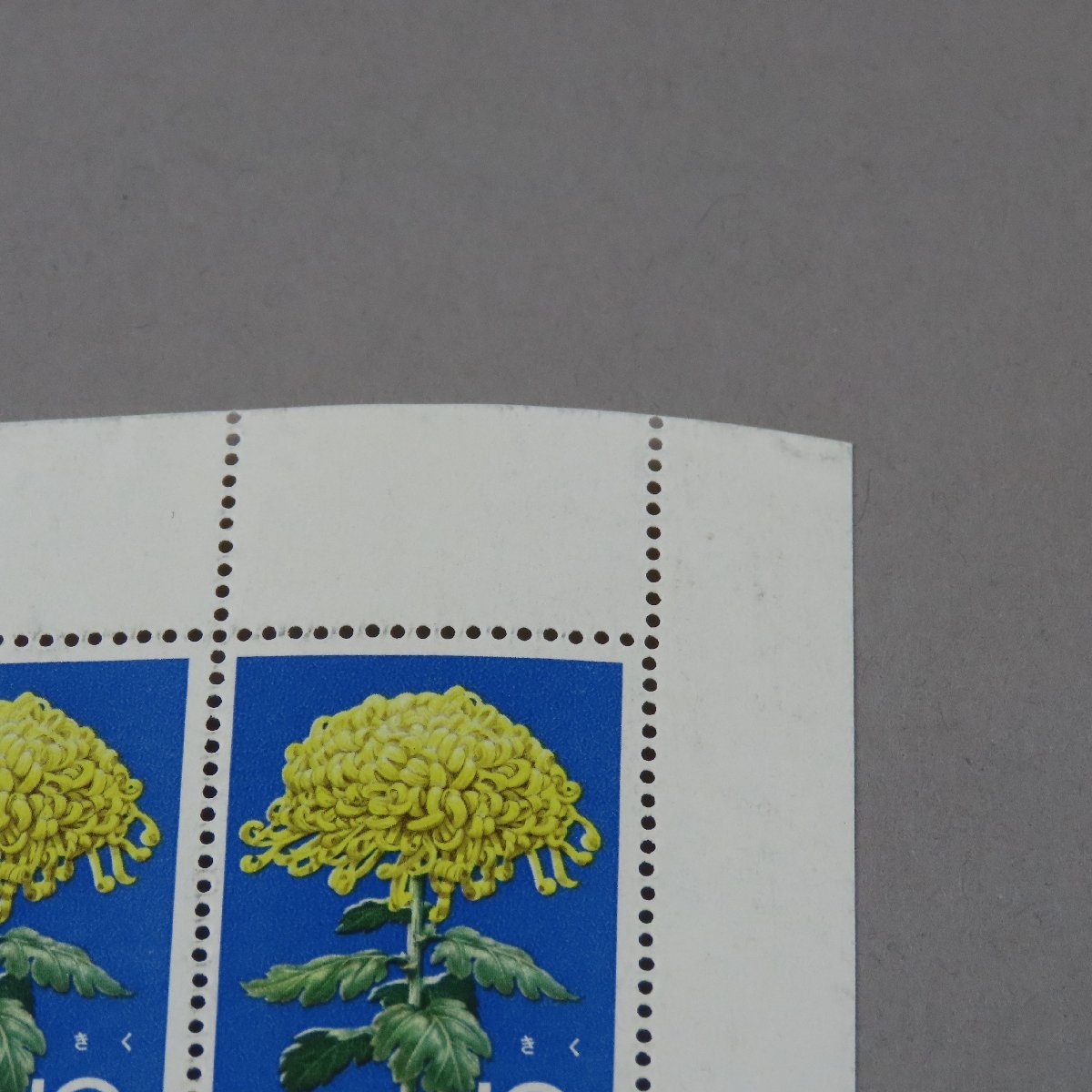 【切手0154】1961年　昭36年 花シリーズ きく 日本郵便 10円20面シート_画像5