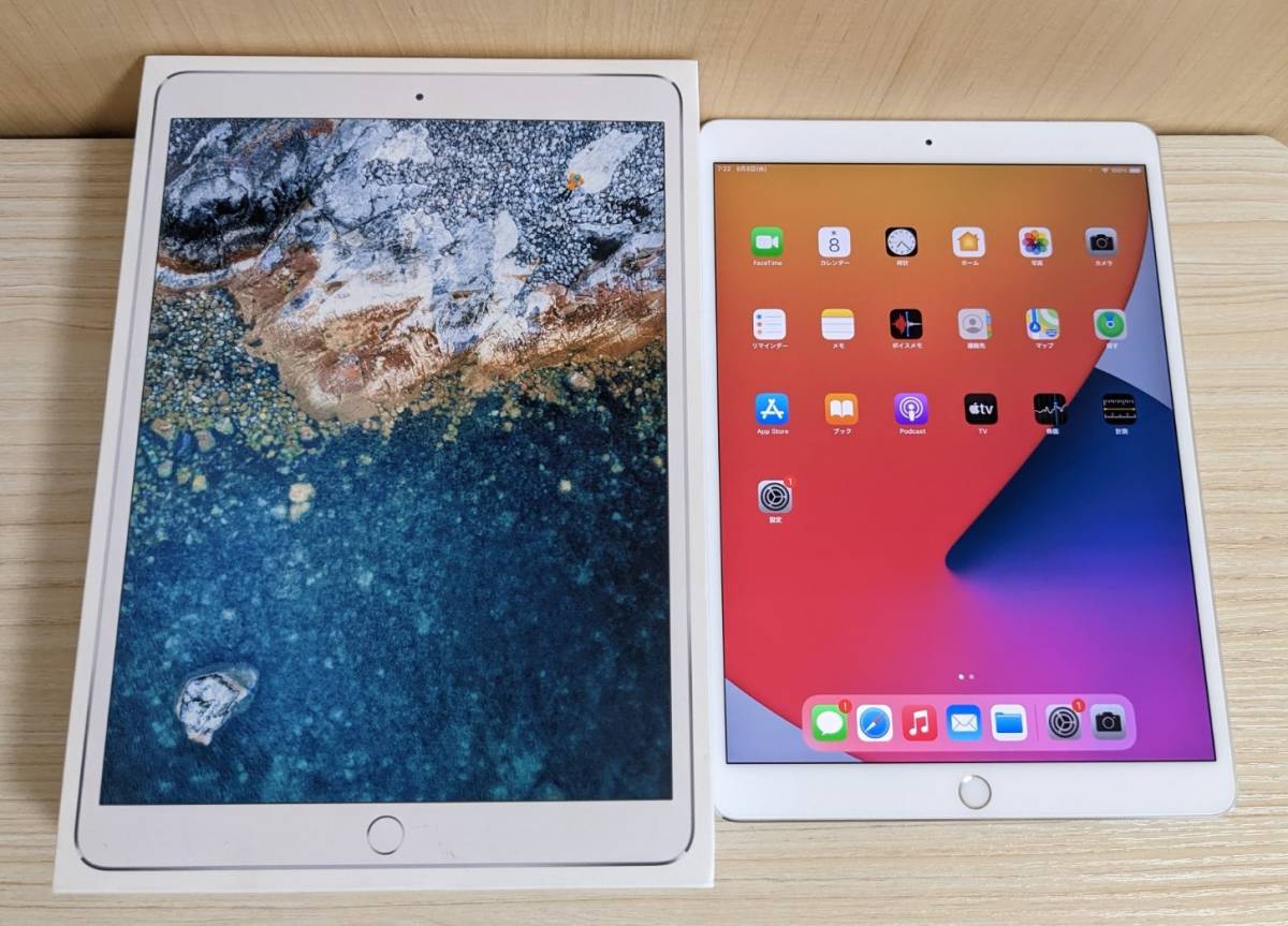 iPad Pro 10.5 512GB Wi-Fi+Cellular おまけ付き | pru.edu.ng