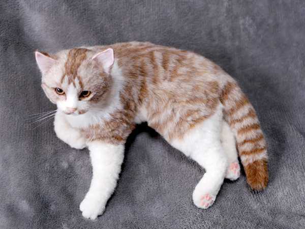 ★銀★ 羊毛フェルト 猫 ハンドメイド　白茶トラ猫　_画像9