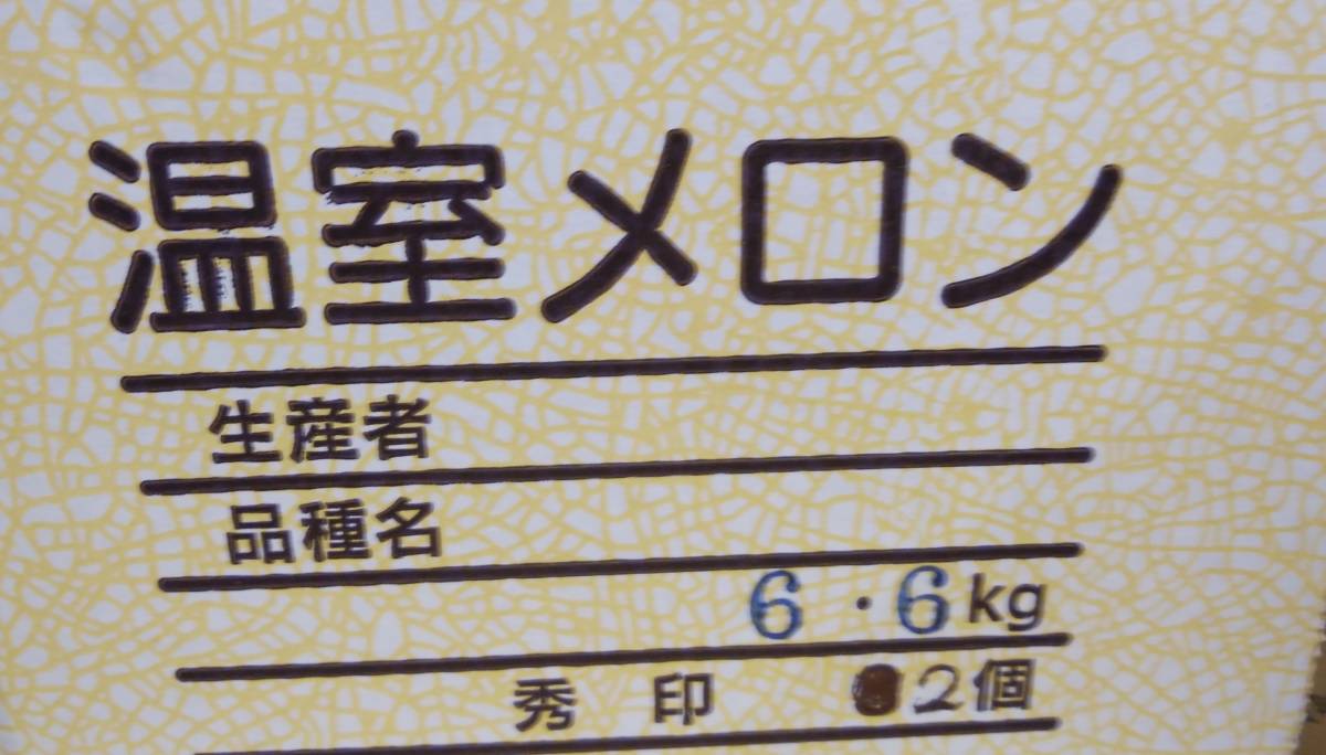 ～１円から～＜高知県産＞　温室メロン　約6.6～6.9kg　超大玉　2玉　秀　家庭用　贈答用　 ■_画像3