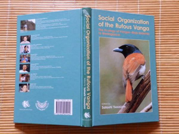 ..　Social Organization of the Rufous Vanga: The Ecology of Vangas- Birds Endemic to Madagascar (英語版 アカオオハシモズの社会)_画像1