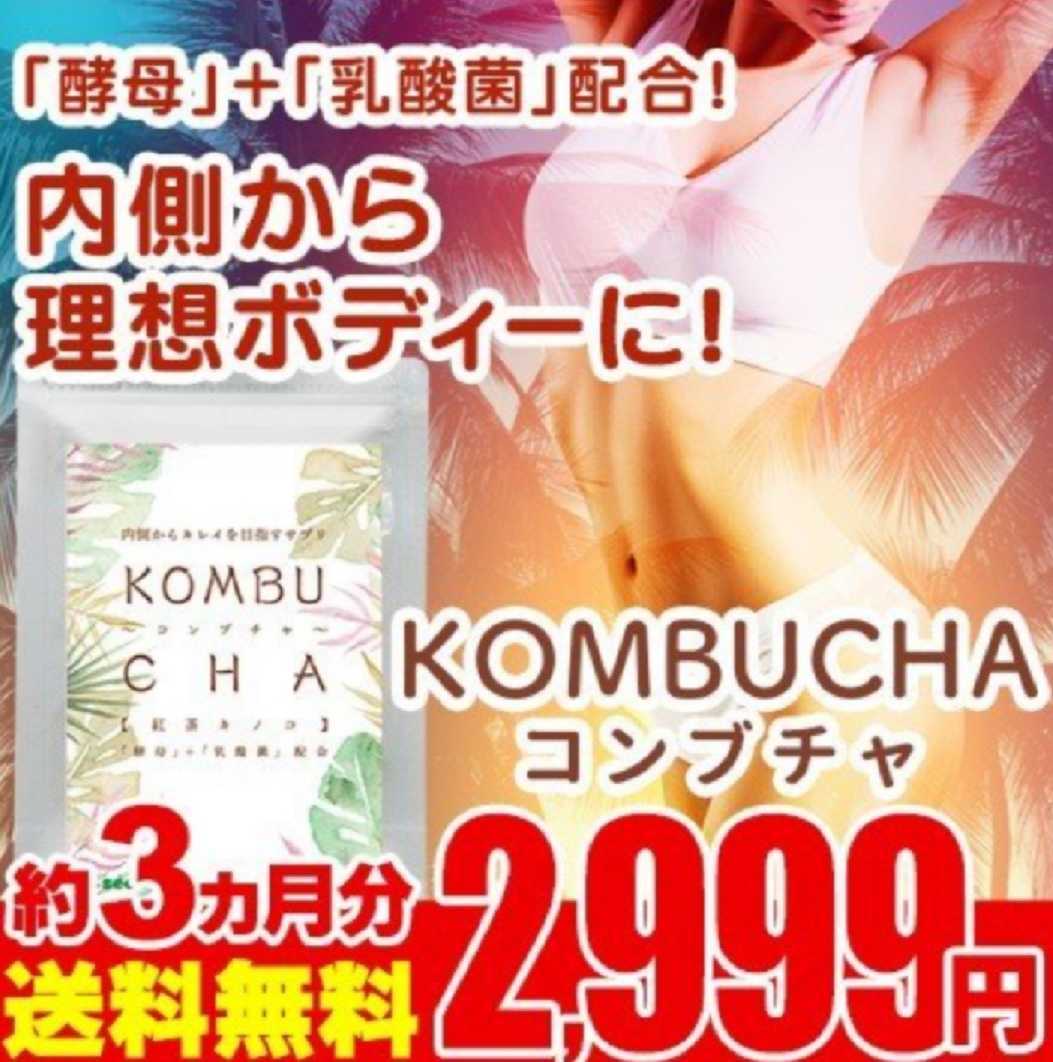 コンブチャ KOMBUCHA 3ヵ月分 サプリ シードコムス 紅茶キノコ　乳酸菌　酵素ドリンク　酵母_画像2