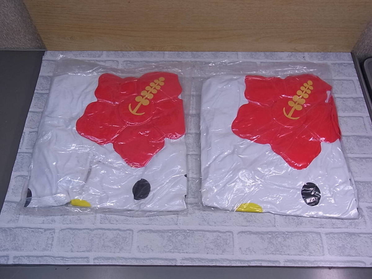 *J/532* Sanrio Sanrio* Hello Kitty HELLO KITTY* vinyl made ... Chan doll *2 piece set * secondhand goods 