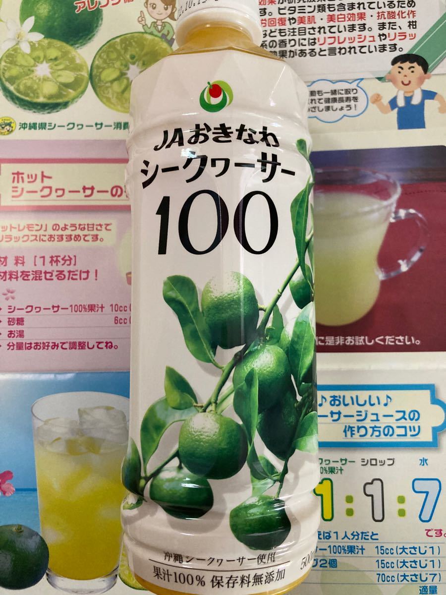 沖縄シークヮーサー100%果汁500ml3本セット
