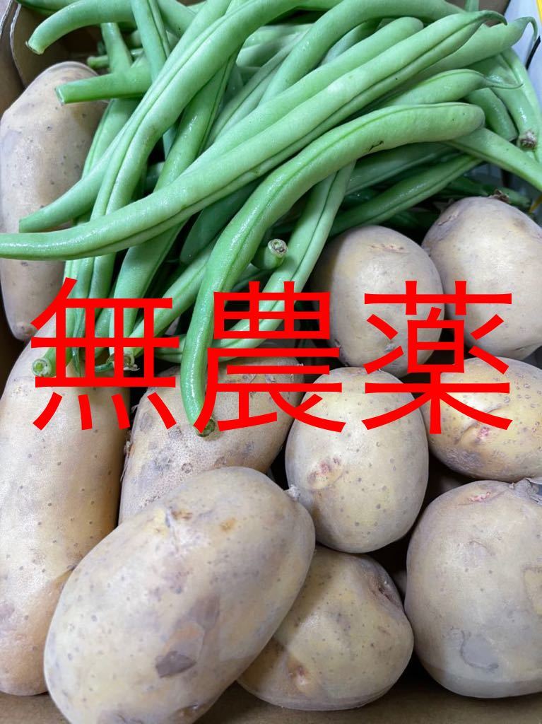 野菜の詰め合わせ(2種類)_画像1