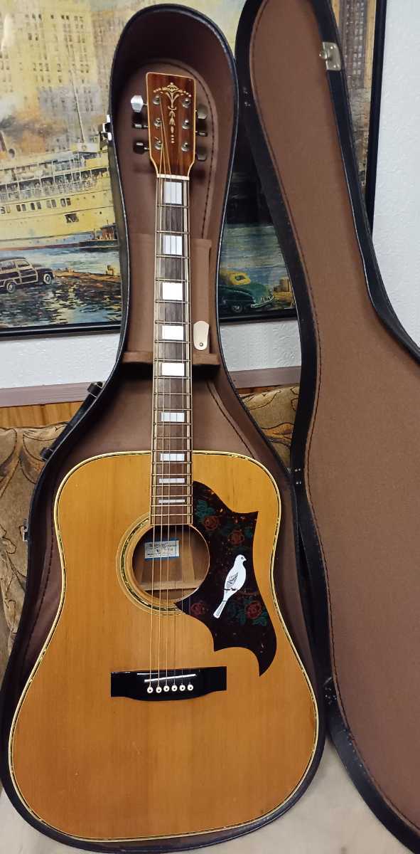 Kansas ギター WG-250 鈴木バイオリン