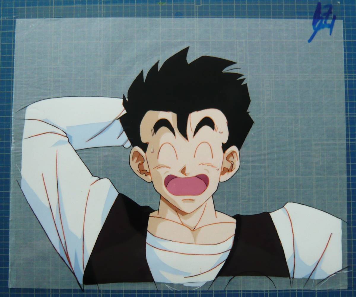 セル画 22-44 DB-02□ドラゴンボール○孫悟飯□DRAGON BALL セル画 22-44 DB-02□ドラゴンボール○孫悟飯□DRAGON BALL