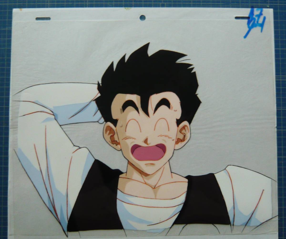 セル画 22-44 DB-02□ドラゴンボール○孫悟飯□DRAGON BALL セル画 22-44 DB-02□ドラゴンボール○孫悟飯□DRAGON BALL