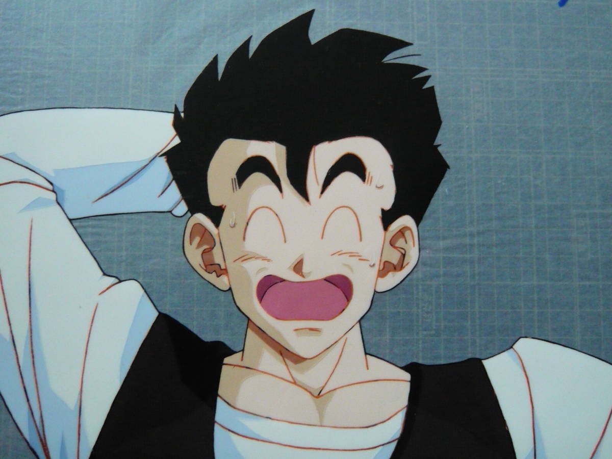 セル画 22-44 DB-02□ドラゴンボール○孫悟飯□DRAGON BALL セル画 22-44 DB-02□ドラゴンボール○孫悟飯□DRAGON BALL