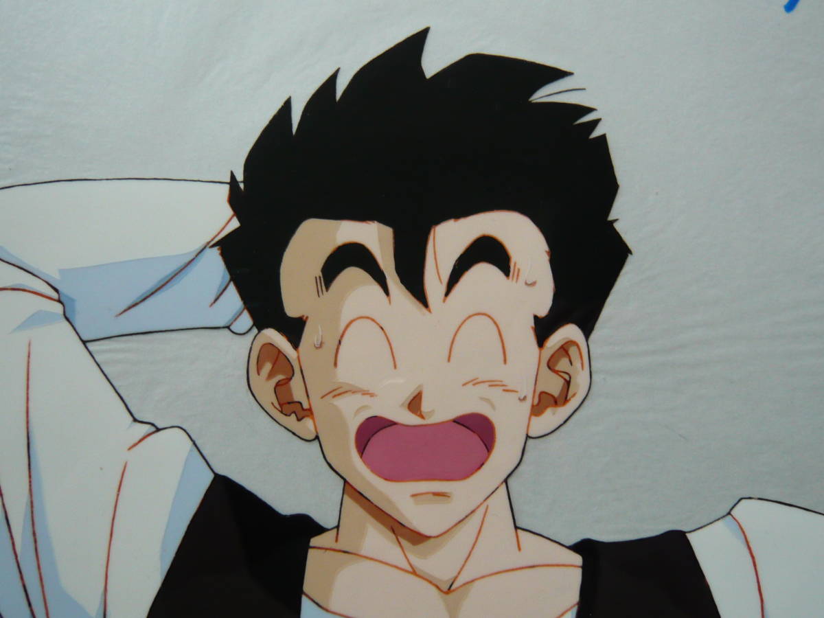 セル画 22-44 DB-02□ドラゴンボール○孫悟飯□DRAGON BALL セル画 22-44 DB-02□ドラゴンボール○孫悟飯□DRAGON BALL