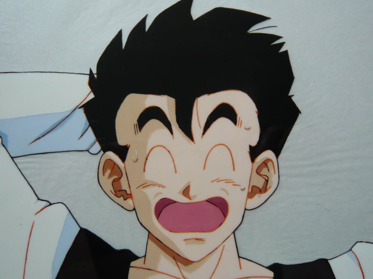 セル画 22-44 DB-02□ドラゴンボール○孫悟飯□DRAGON BALL セル画 22-44 DB-02□ドラゴンボール○孫悟飯□DRAGON BALL