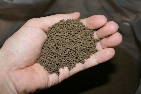 400g 2mm エサ ダルマ 琉金 玉サバ 粒餌 高脂肪 高蛋白 養殖用 餌 ゆうメール 全国送料180円 魚粉60 上級グレード エサ 売買されたオークション情報 Yahooの商品情報をアーカイブ公開 オークファン Aucfan Com