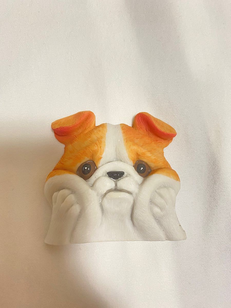 Paypayフリマ ウォールステッカー 犬 ペット Paypayフリマ ウォールステッカー 犬 ペット