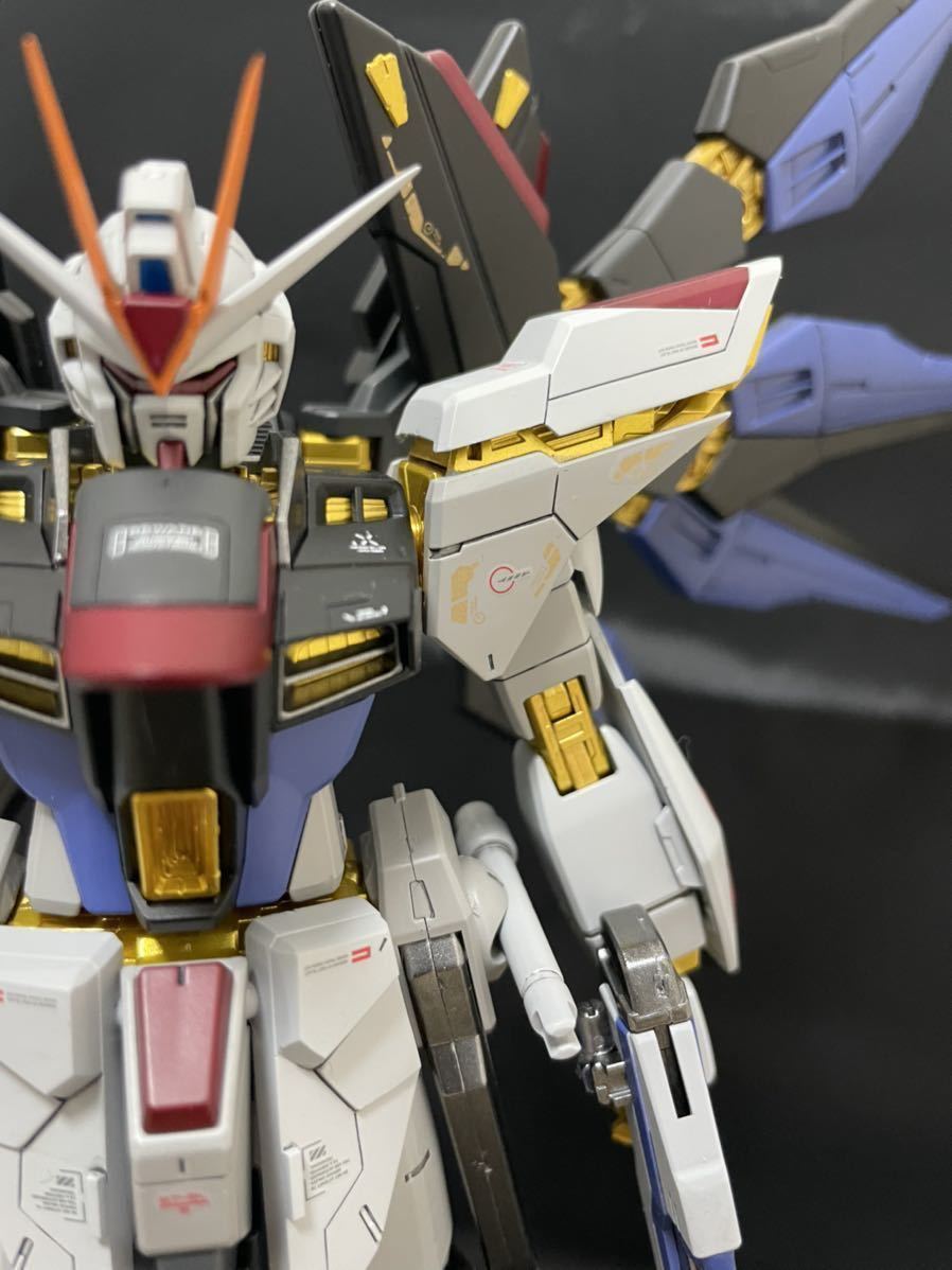 MG ストライクフリーダムガンダム 完成品 塗装 蛍光 ガンプラ 商品细节