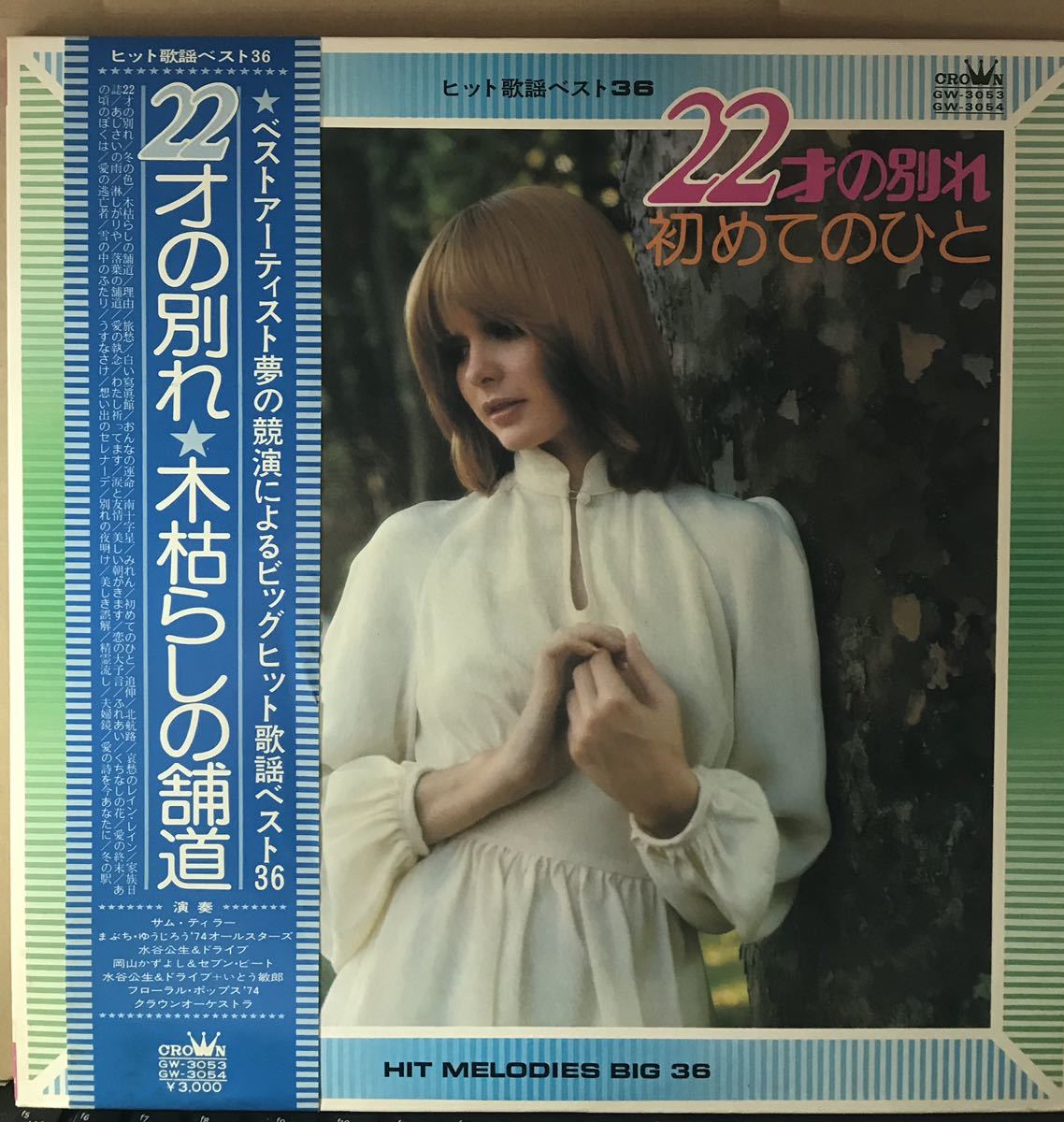 帯付 水谷公生 KIMIO MIZUTANI / 2LP