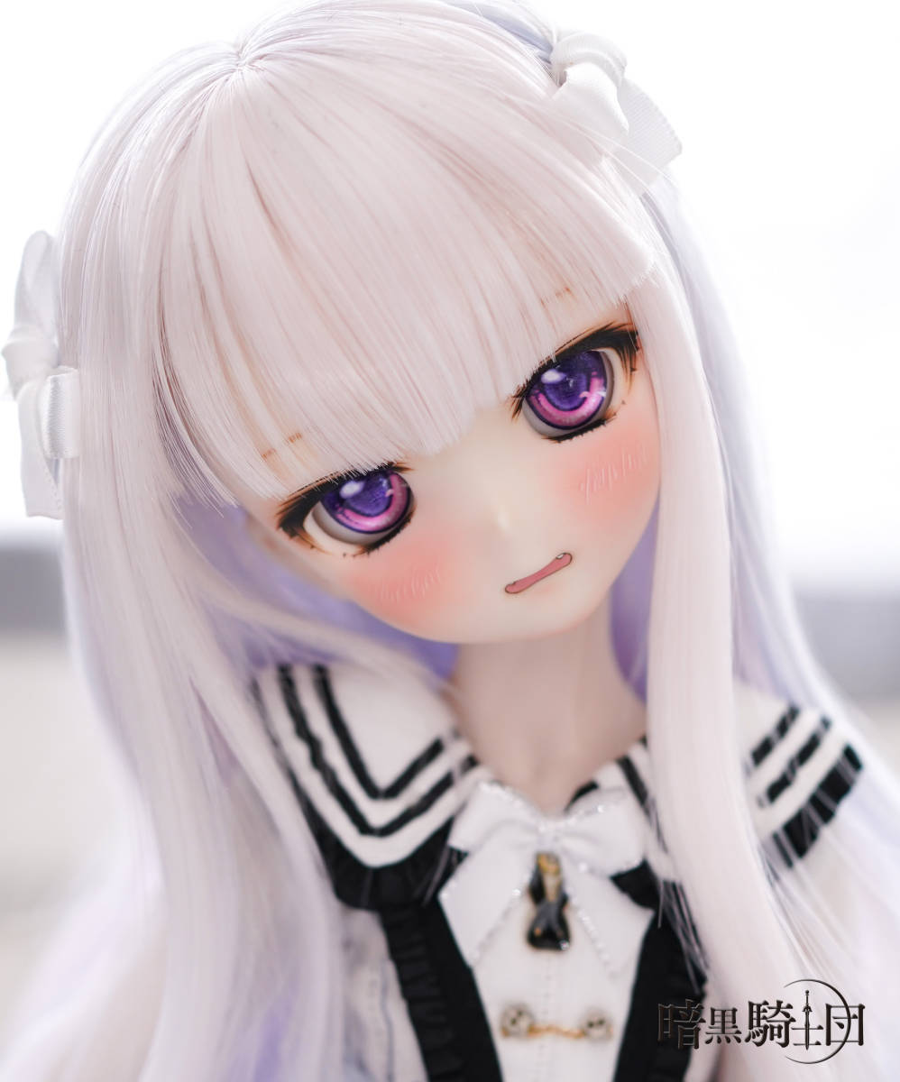 DDH-10 SW肌カスタムヘッド+アイ二組◇暗黒騎士団◇ bpbd.kendalkab.go.id
