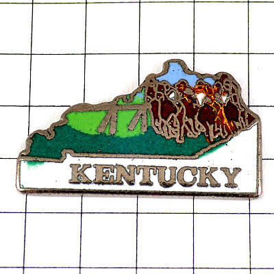  pin badge * horse racing ticket Tackey . America map type /USA* France limitation pin z* rare . Vintage thing pin bachi