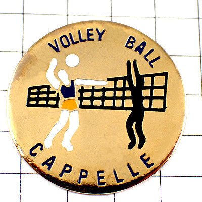  pin badge * volleyball player attack net net pre - lamp * France limitation pin z* rare . Vintage thing pin bachi