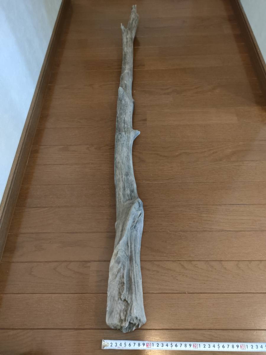 * natural driftwood aquarium 1 point thing aquarium objet d'art art 124×10×9cm Yamato river reptiles large branch lizard snake interior fish medaka .. house large 