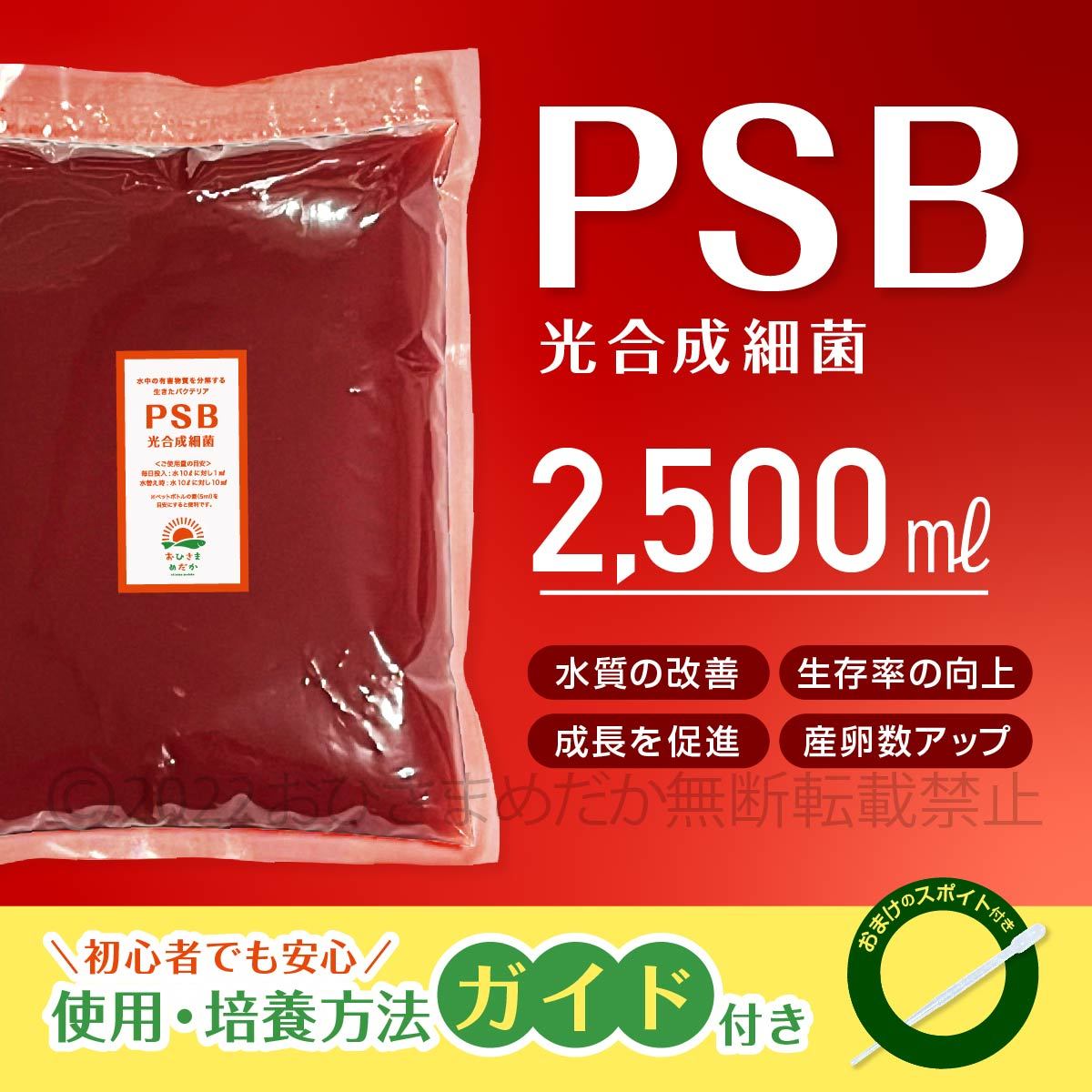 【PSB　光合成細菌　2500ml　送料無料】メダカ 植物　ミジンコ　ゾウリムシ培養　バクテリア　クロレラ　金魚 らんちゅう ベタ　稚魚　に