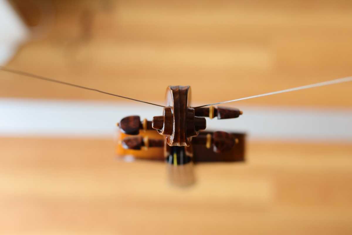 【4/4】19世紀製 ホップモデル ジャーマンオールドバイオリン【極良品】_画像9