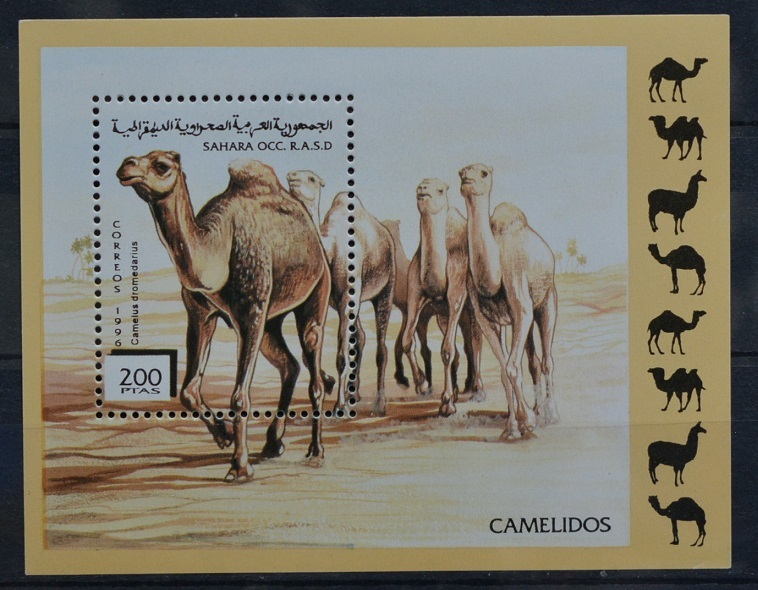 「TB41」サハラ共和国切手 1996年 ラクダの画像1