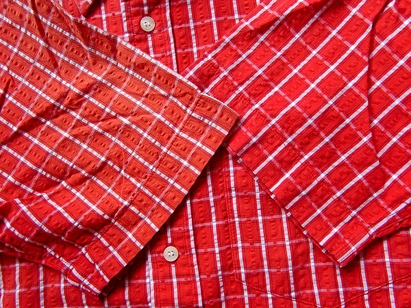 LACOSTE ラコステ 半袖シャツ 赤×白格子 胸ポケット1つ有り サイズ2 綿100％ 日本製_画像8