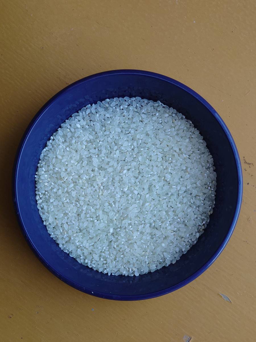 2021年 三重県産 コシヒカリ 精米済み 白米 正味 １０kg　⑦_画像3