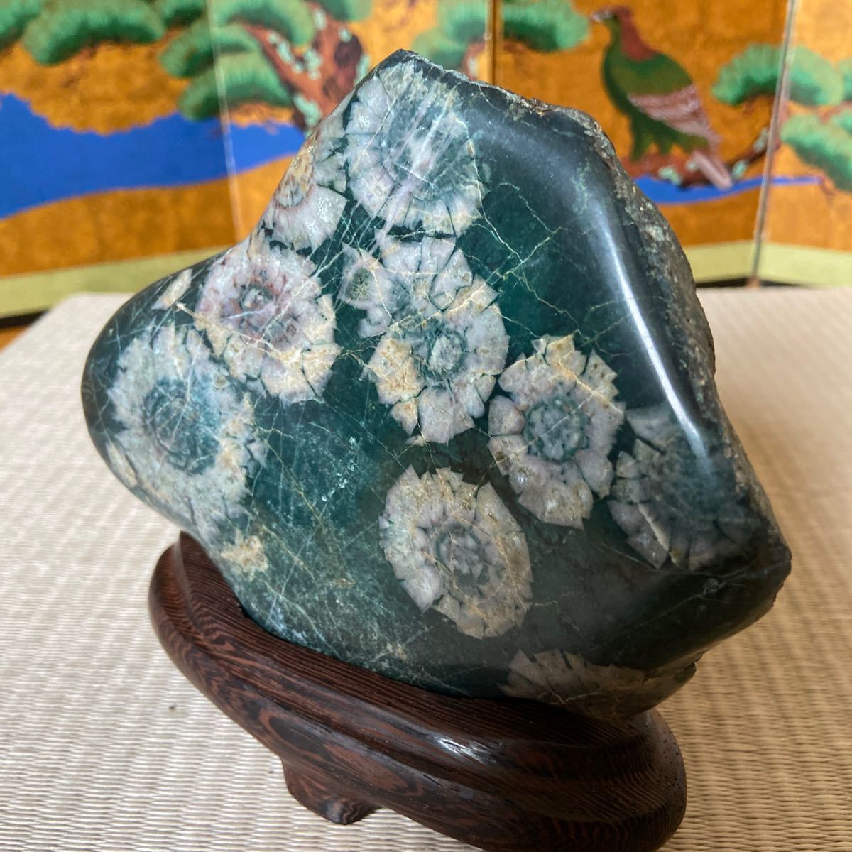 グリーン母岩に珍しい菊花 720g ☆ 鑑賞石 菊花石 グリーン母岩に珍しい菊花 720g ☆ 鑑賞石 菊花石