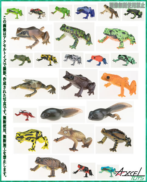 即決)原色両生類カエル図鑑 全26種フルコンプセット - フィギュア