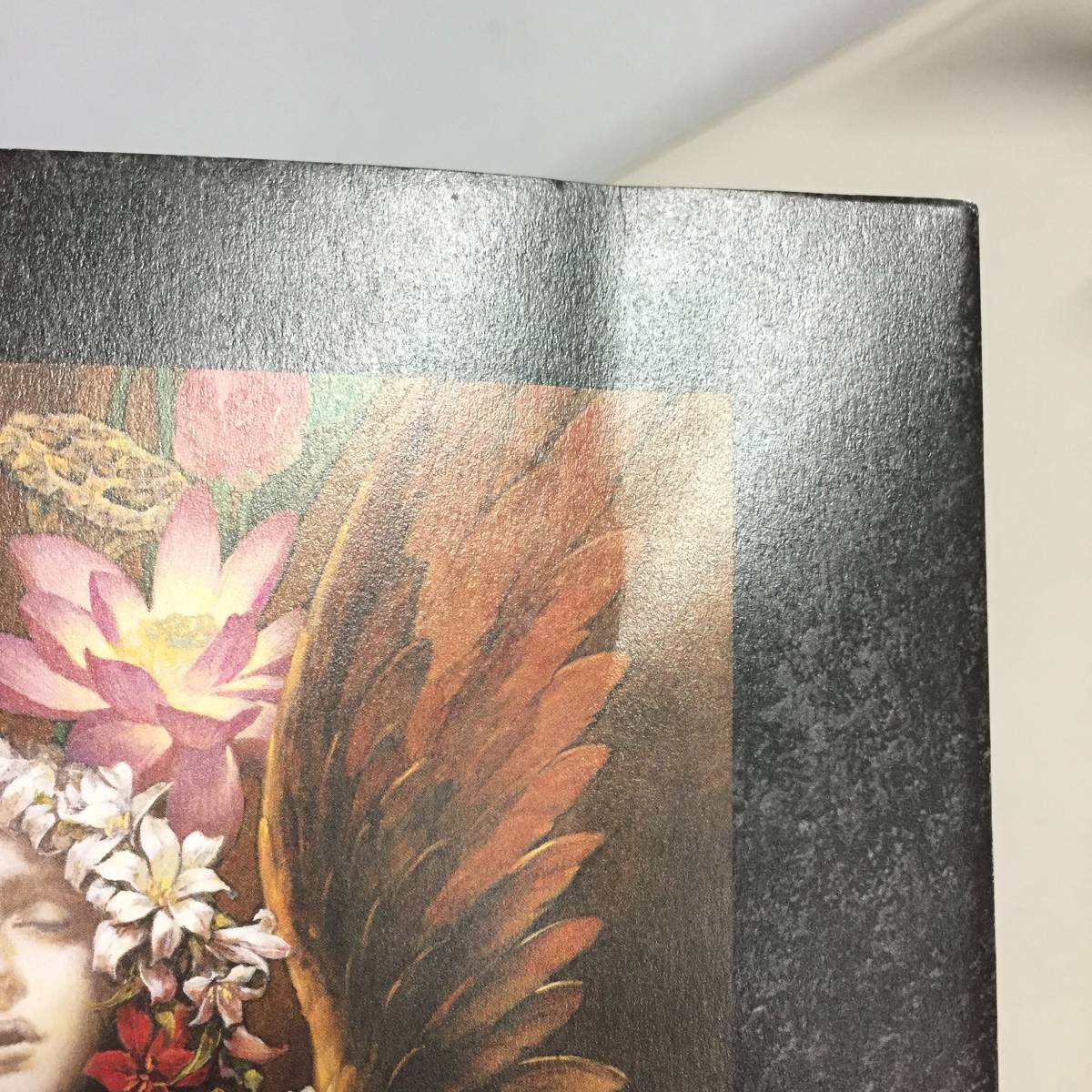 ○小島文美 画集 緋いユリ Santa Lilio Sangre 2010年 第一刷 ○小島文美 画集 緋いユリ Santa Lilio Sangre 2010年 第一刷