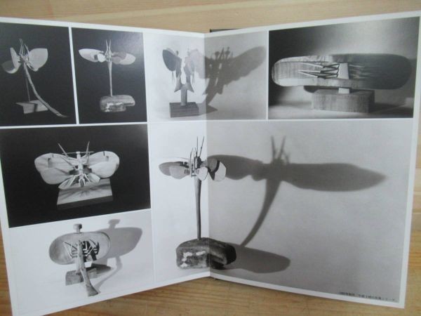 h22☆ 希少本 砂澤ビッキ 写真集 「光と影」 写真:甲斐敬章 1989年 h22☆ 希少本 砂澤ビッキ 写真集 「光と影」 写真:甲斐敬章 1989年