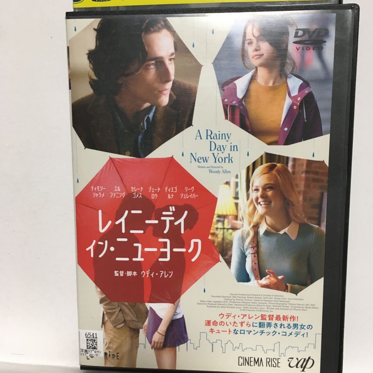 送料無料/レイニーデイ・イン・ニューヨーク/ティモシー・シャラメ/再生確認済み/レンタル店舗専用ケース付き/匿名配送（追跡土日祝配達）