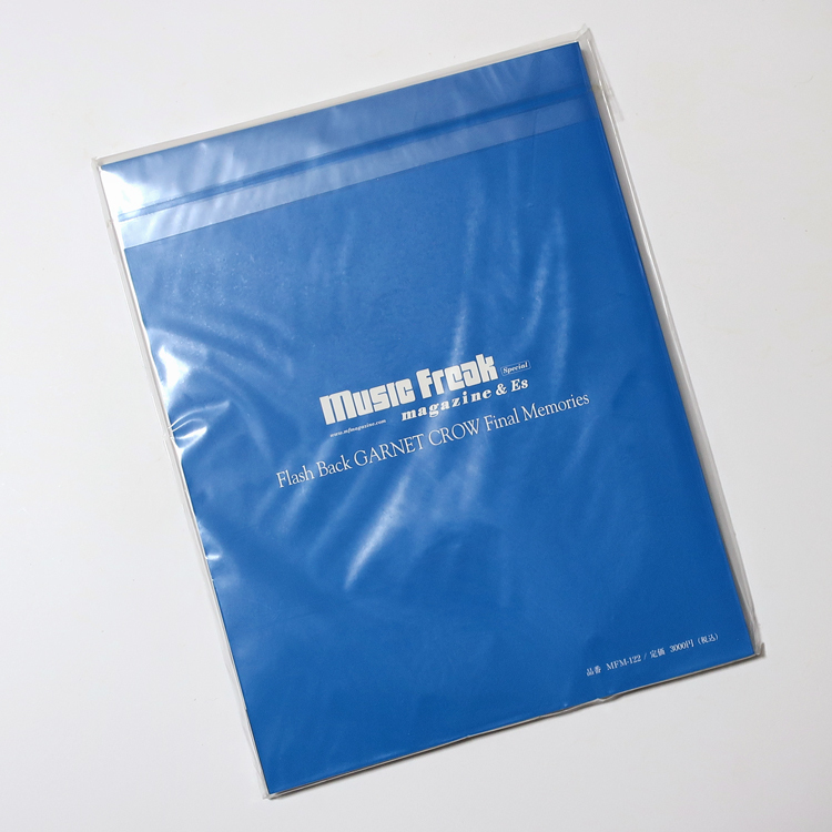新品未開封 ◆ GARNET CROW Music Freak magazine & Es Special Flash Back Final Memories | 会報誌 会誌 パンフレット グッズ