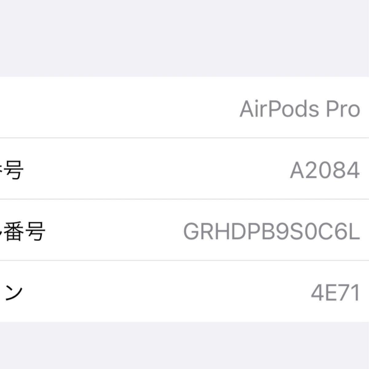 Apple AirPods Pro アップル エアーポッズプロ geocoach.co.jp