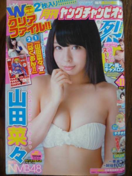 ヤングチャンピオン烈◆2013/No.11◆山田菜々/ミア・楓・キャメロン_画像1