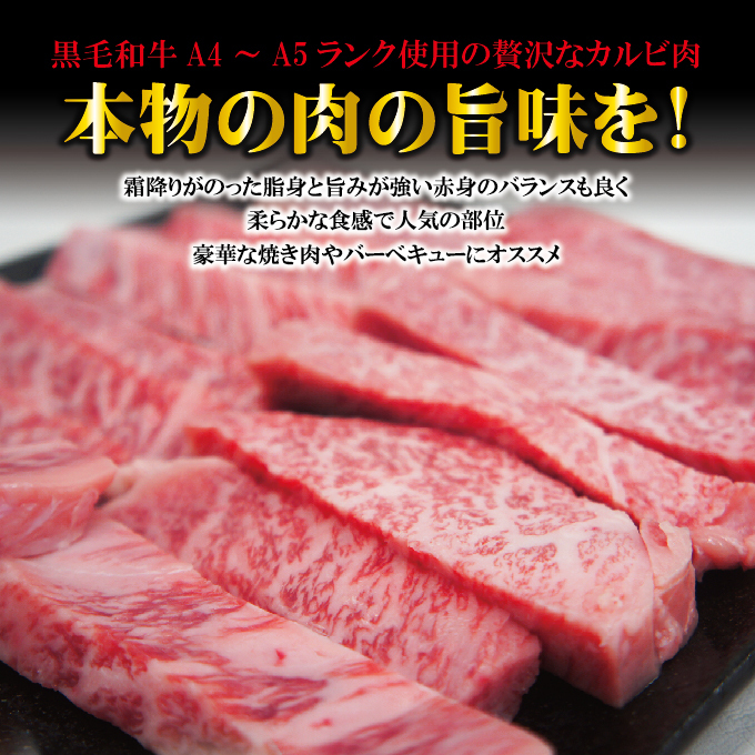 黒毛和牛A4～A5等級霜降りカルビ500ｇ冷蔵【国産】【牛肉】【焼肉】_画像2