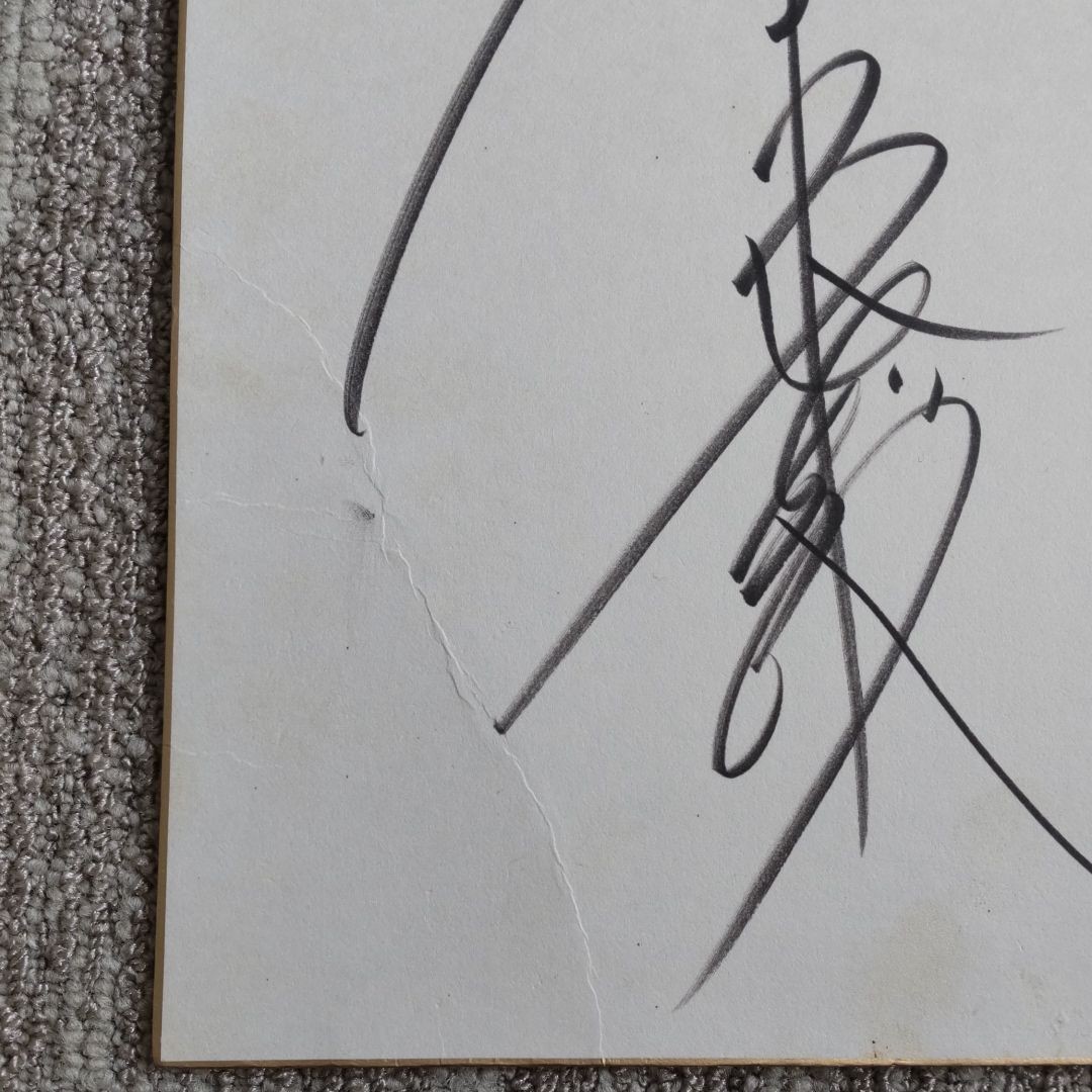 直筆サイン色紙 サイン色紙 バレーボール 日本代表 大友愛さん 直筆サイン色紙 サイン色紙 バレーボール 日本代表 大友愛さん