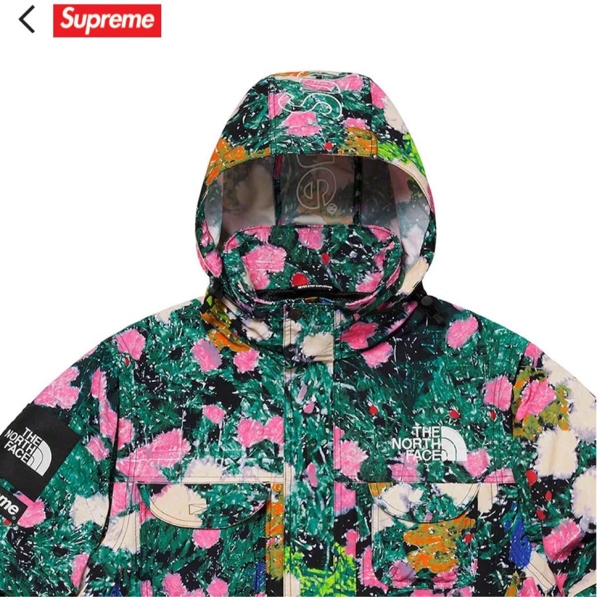 Supreme The North Face Trekking convertible jacket L Flowers