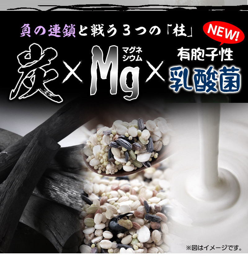 まとめ売り　栄養機能食品　ブラックマグネシウム　60粒 10袋セット　計600粒　31種の野草炭＋国産孟宗竹に有胞子性乳酸菌プラス_画像9