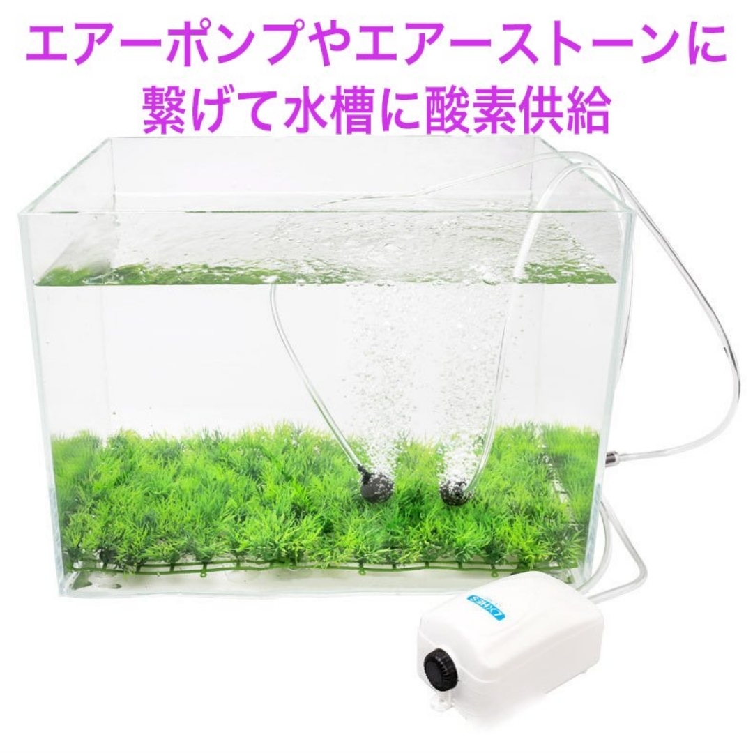 いつでも送料無料 ソフト エアー チューブ 内径 約4mm 外径 約5mm アクアリウム 水槽 ポンプ 約10m Shipsctc Org いつでも送料無料 ソフト エアー チューブ 内径 約4mm 外径 約5mm アクアリウム 水槽 ポンプ 約10m Shipsctc Org