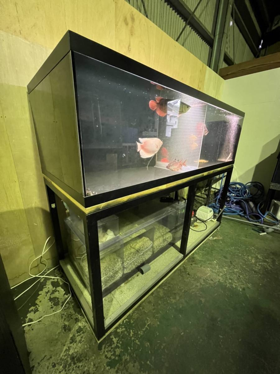 アクリル水槽 オーバーフロー水槽 2000 800 600h レイシー マグネットポンプ 濾過槽 水槽台 大型水槽 200 80 60h