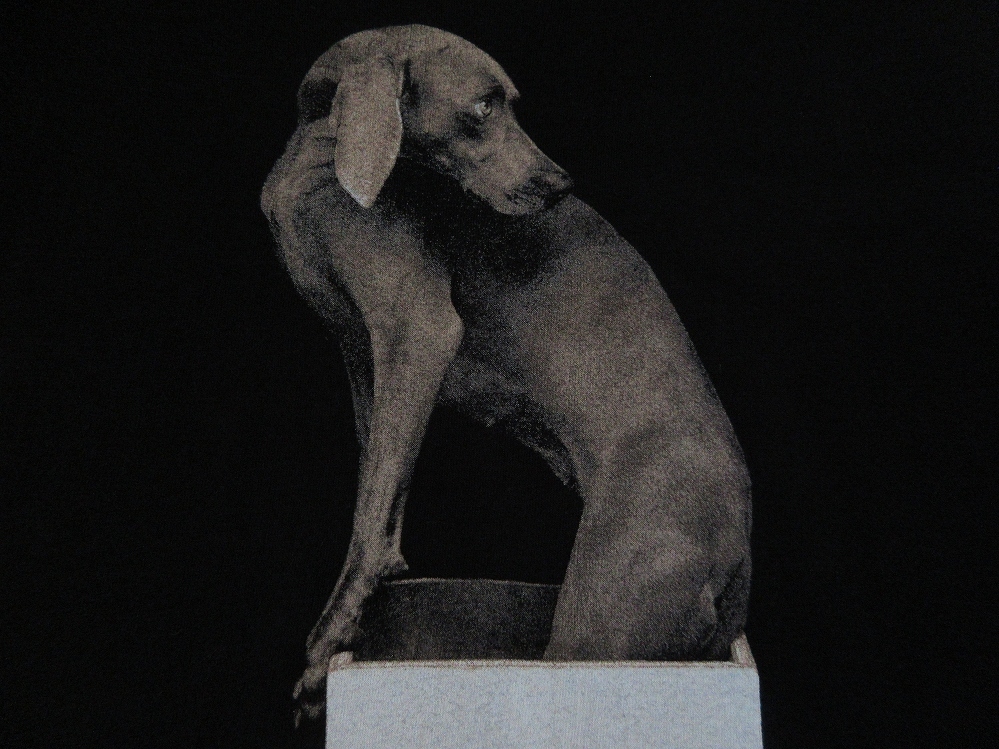 90's USA製 William Wegman FOTOFOLIO ワイマナラー犬 フォト